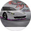 FMG branded sports car graphic